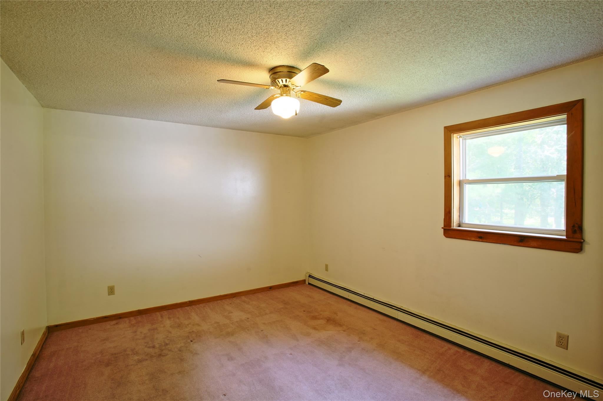 16 Elizabeth Drive Property Photo 18