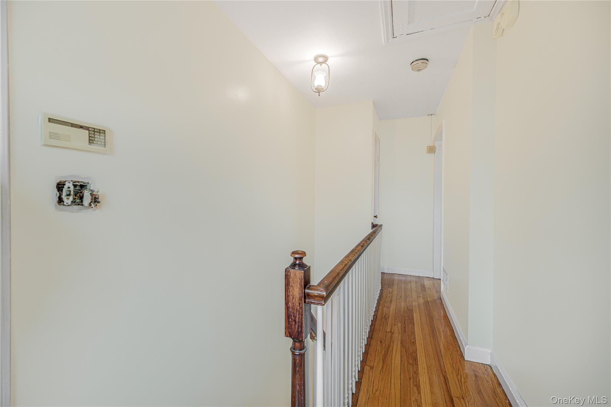53 Holly Street Property Photo 11