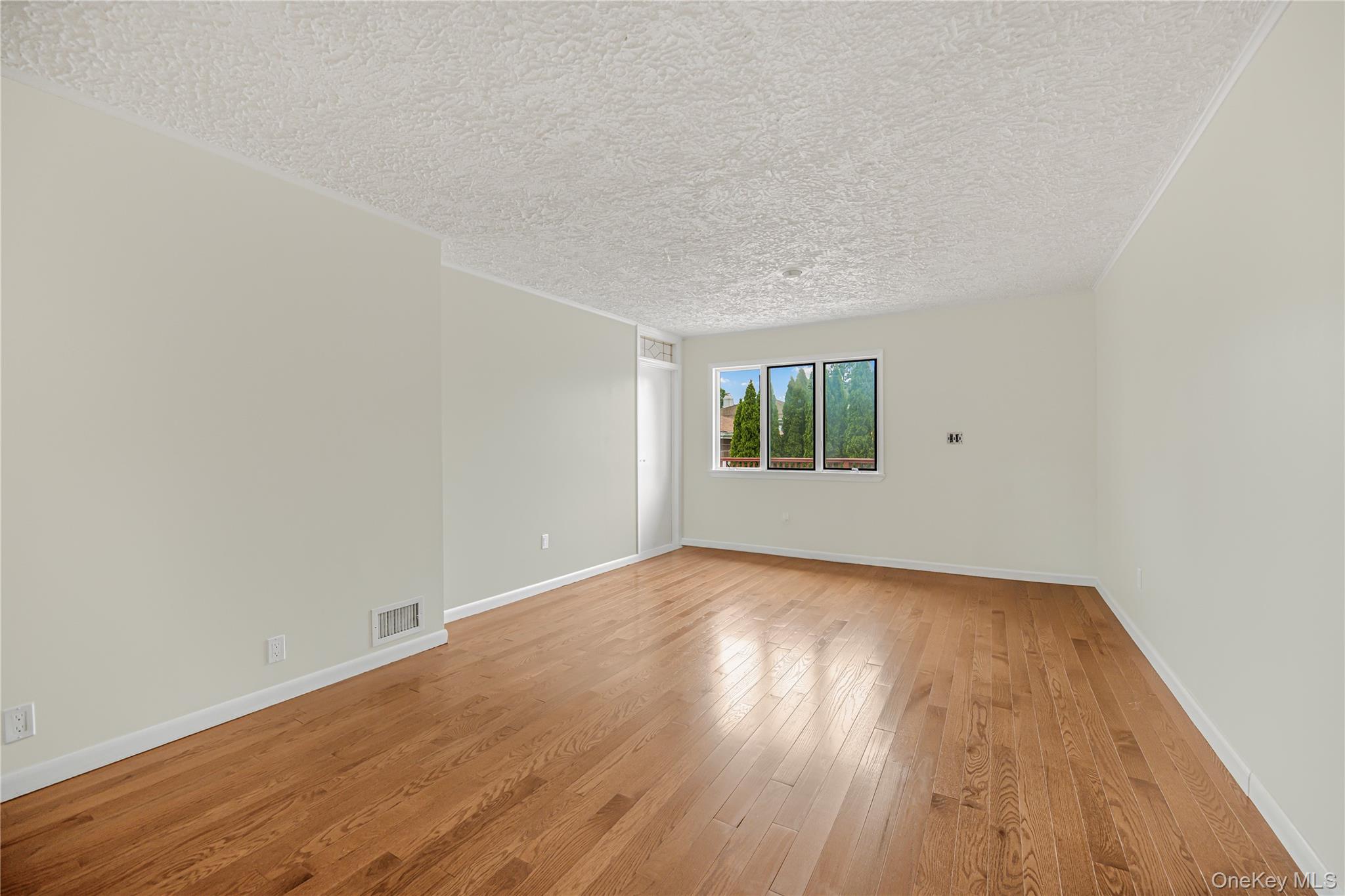 53 Holly Street Property Photo 19