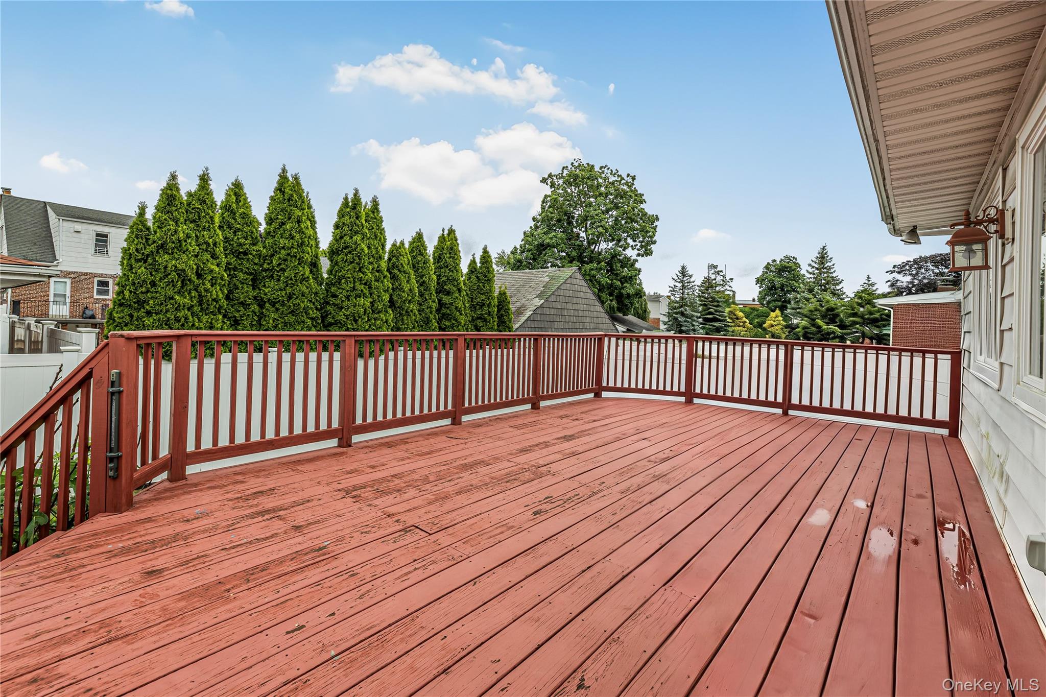 53 Holly Street Property Photo 26