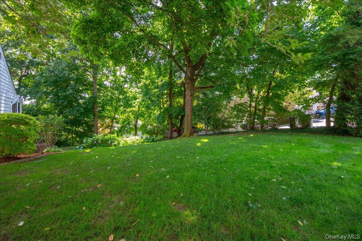 55 Argyle Road Property Photo 39