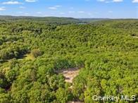 Lot 5 A S White Rock Road Property Photo 19