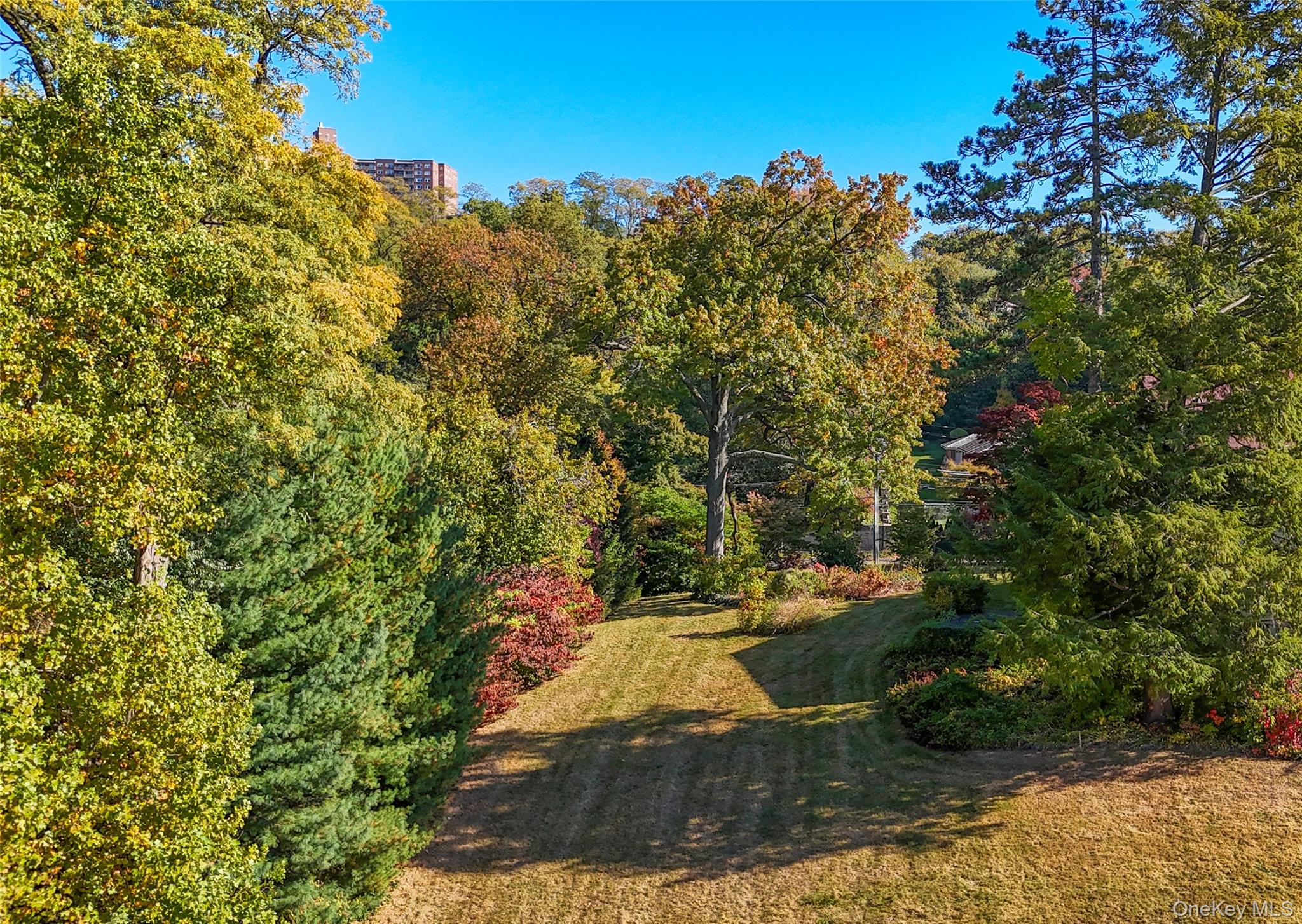 5505 Palisade Avenue Property Photo 15