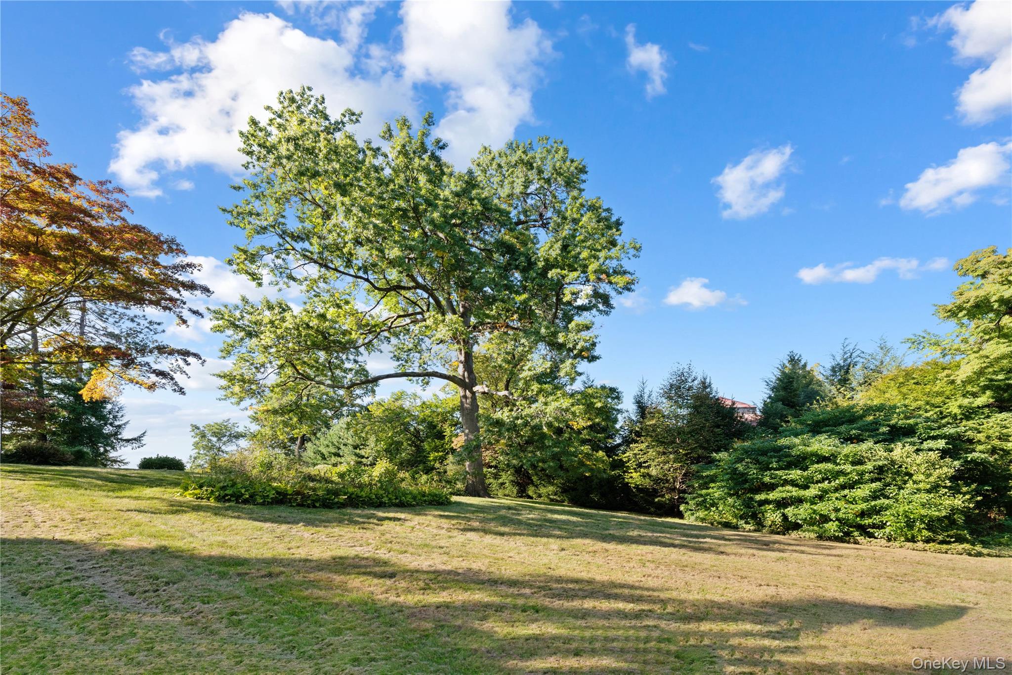 5505 Palisade Avenue Property Photo 16
