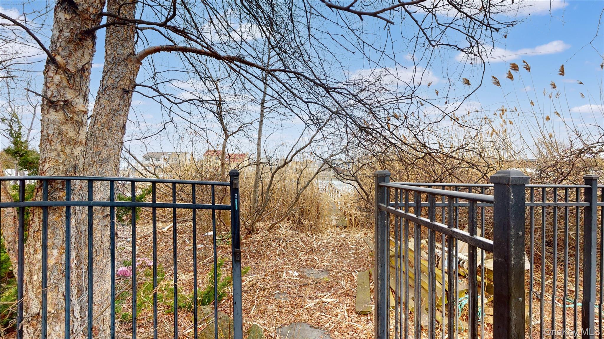 145 Kingston Boulevard Property Photo 15