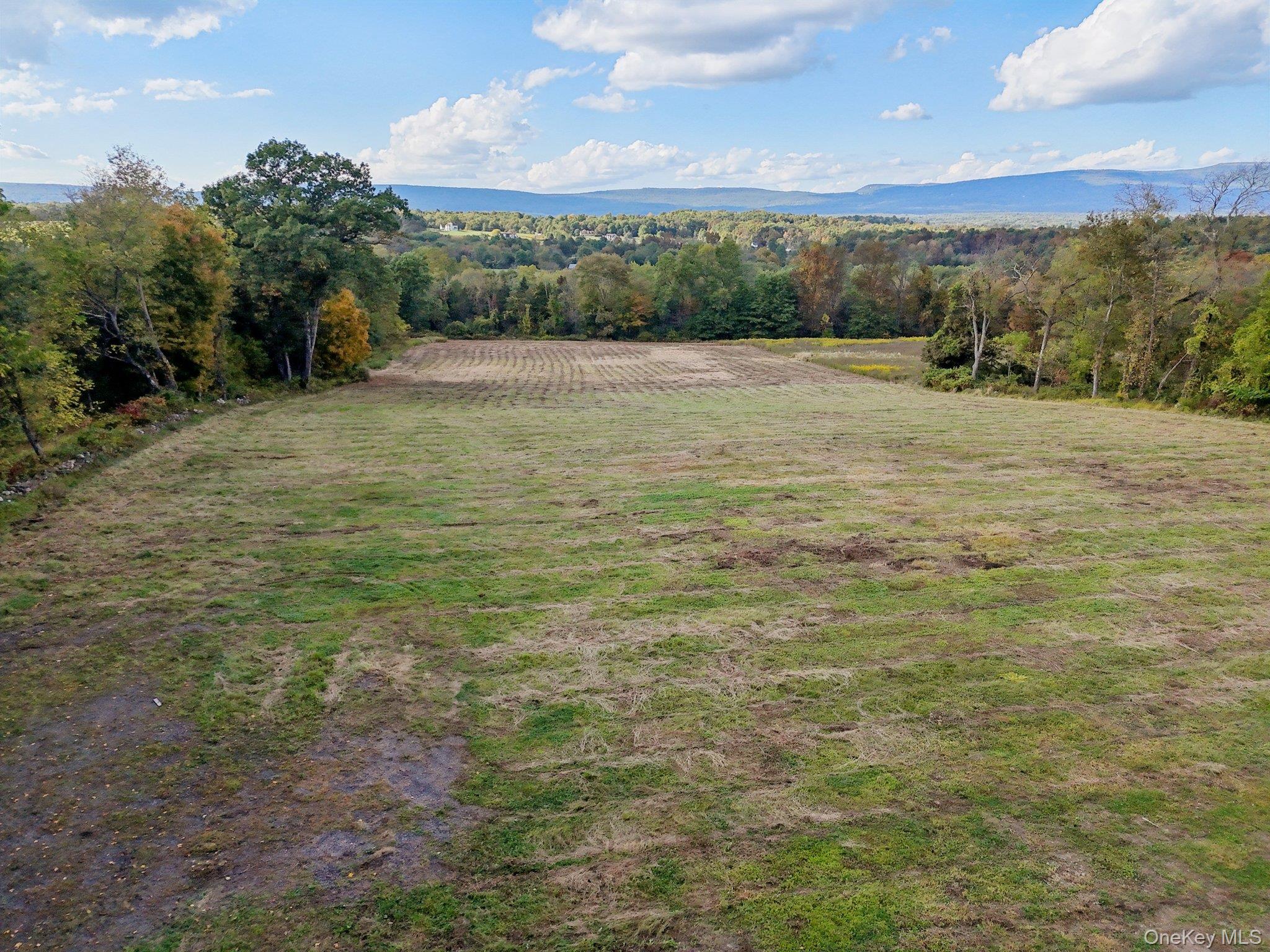 728 State Route 302 Property Photo 5