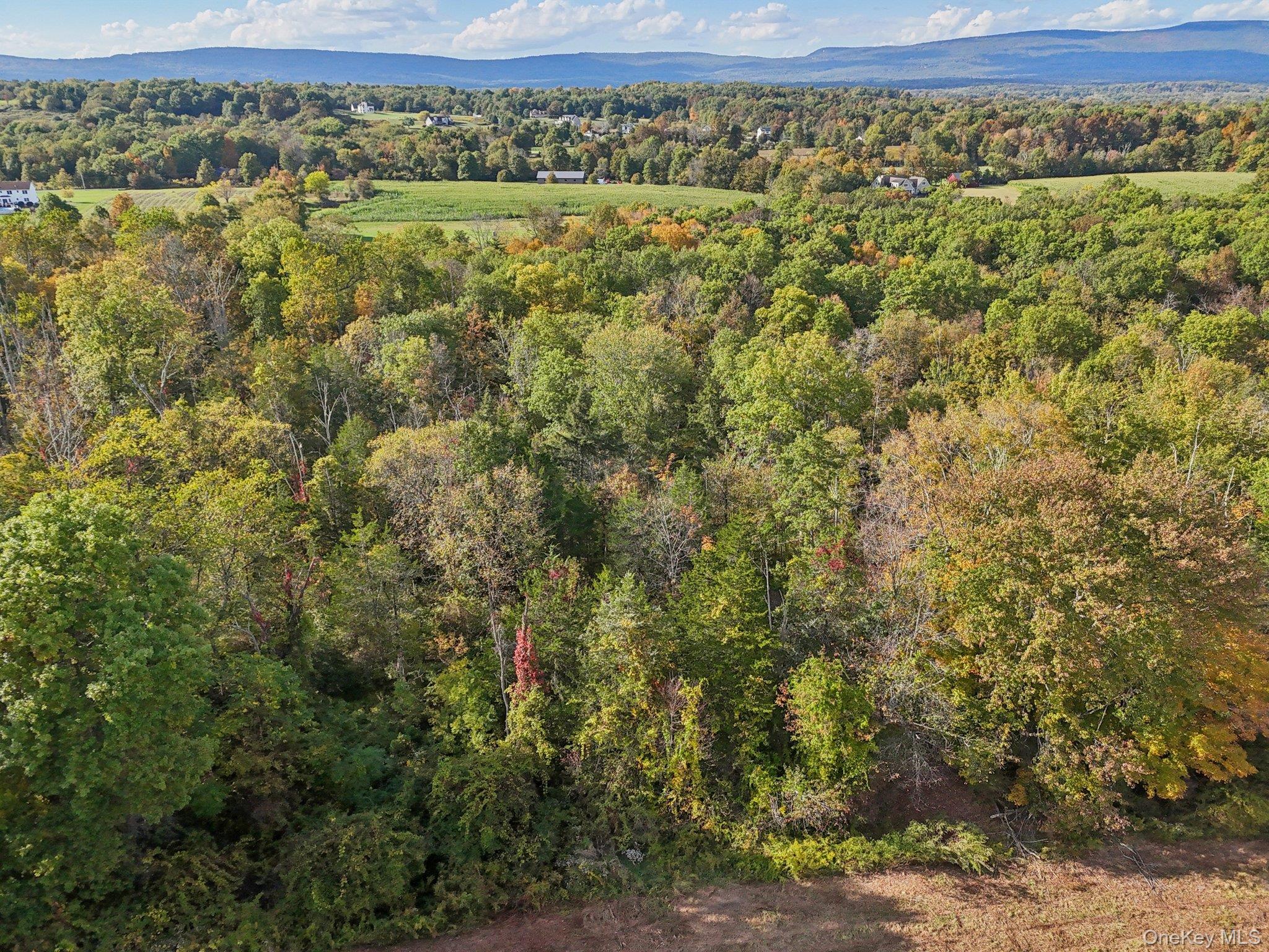 728 State Route 302 Property Photo 6