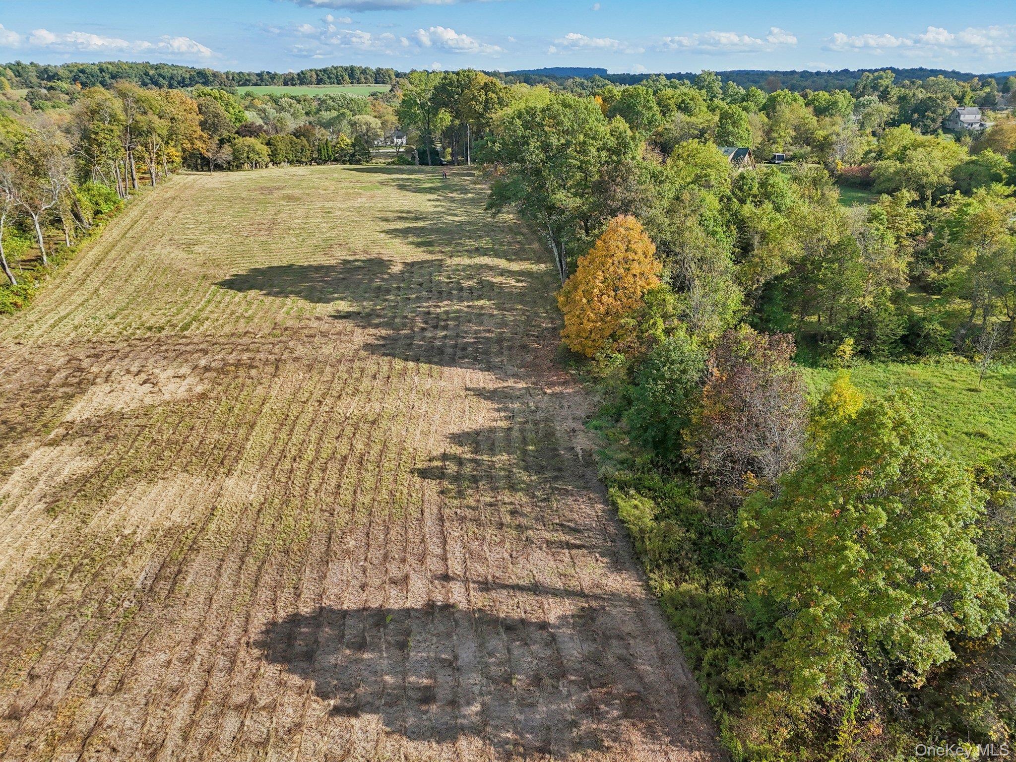 728 State Route 302 Property Photo 7