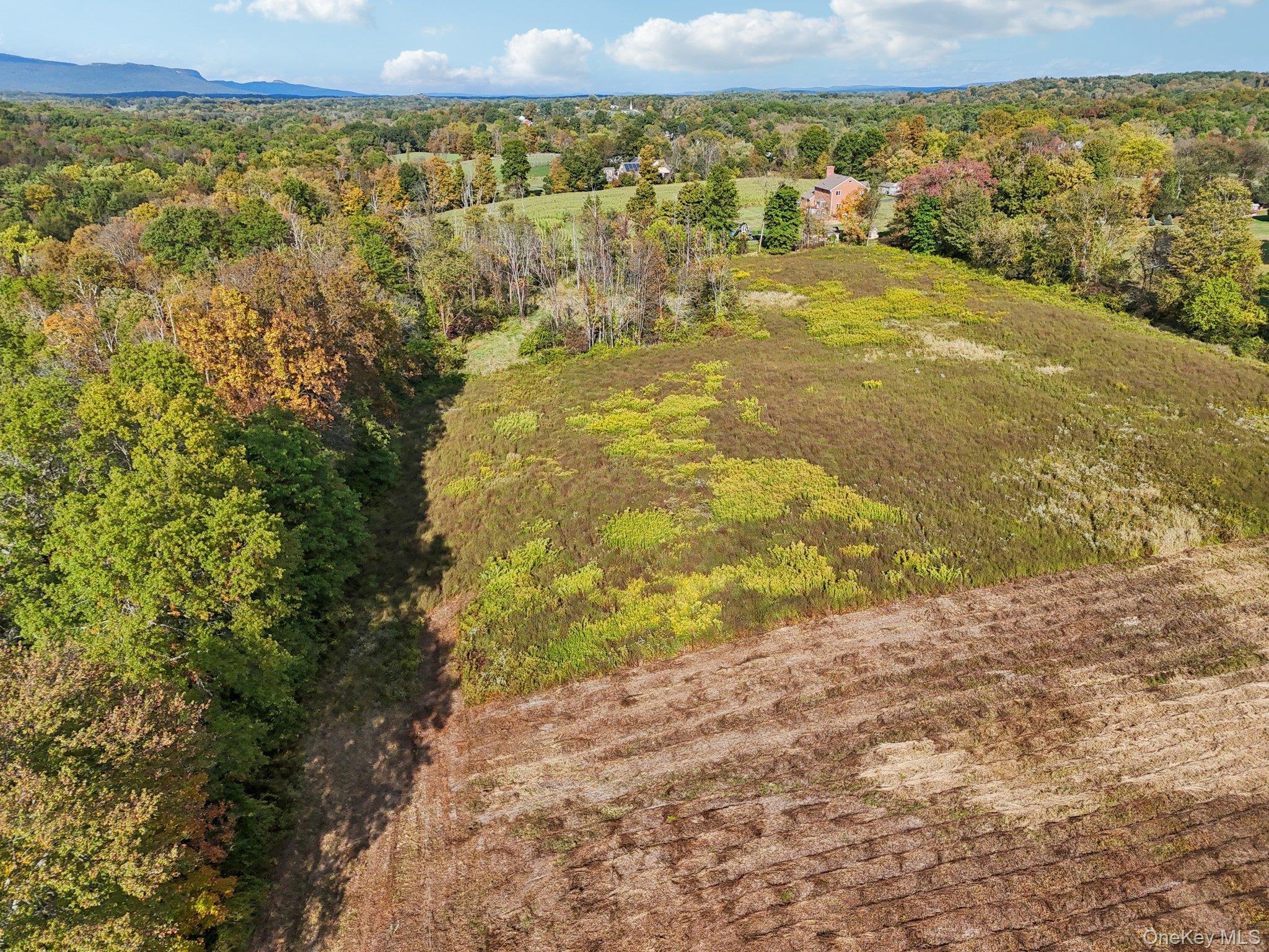 728 State Route 302 Property Photo 8