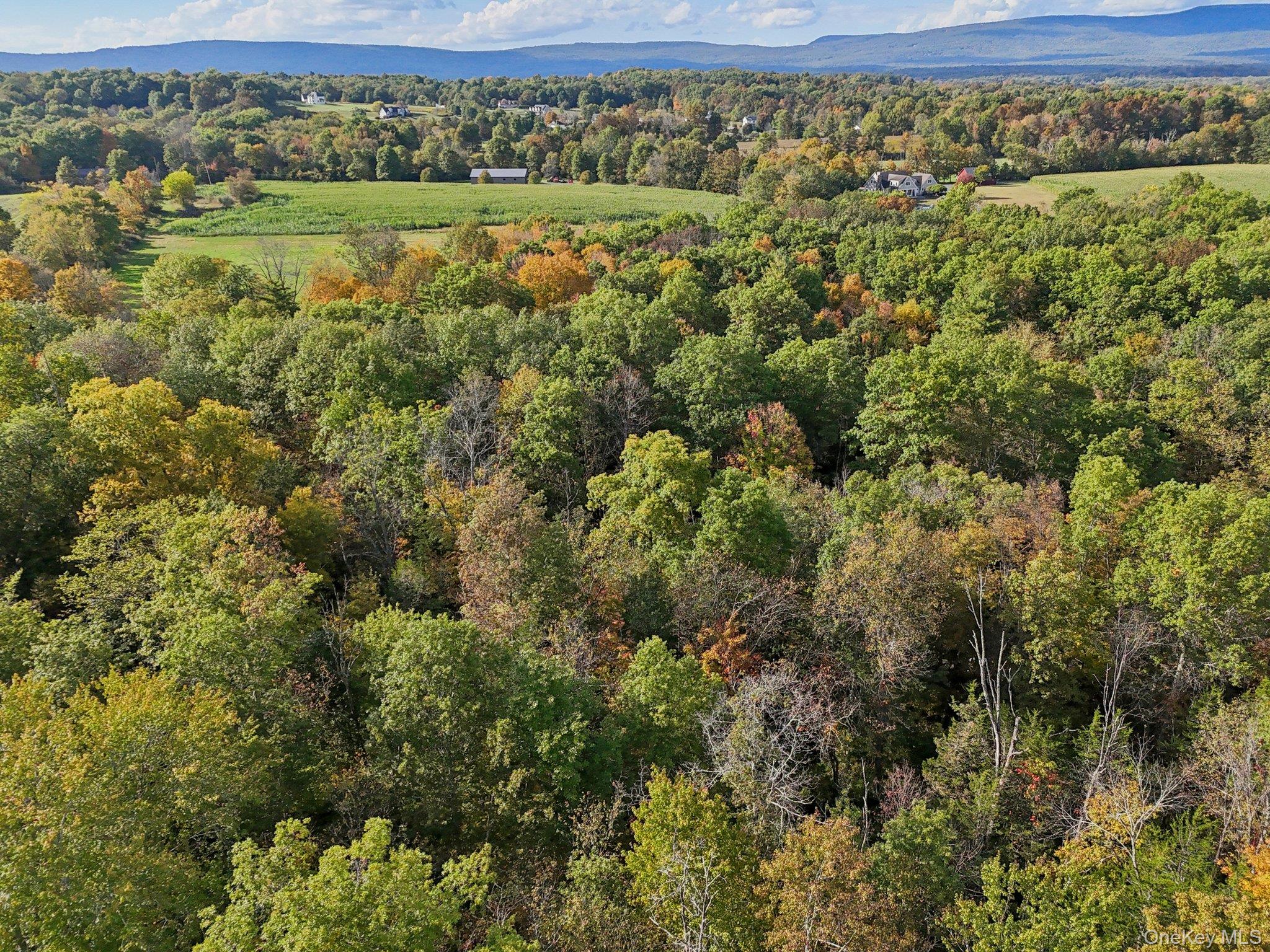 728 State Route 302 Property Photo 9