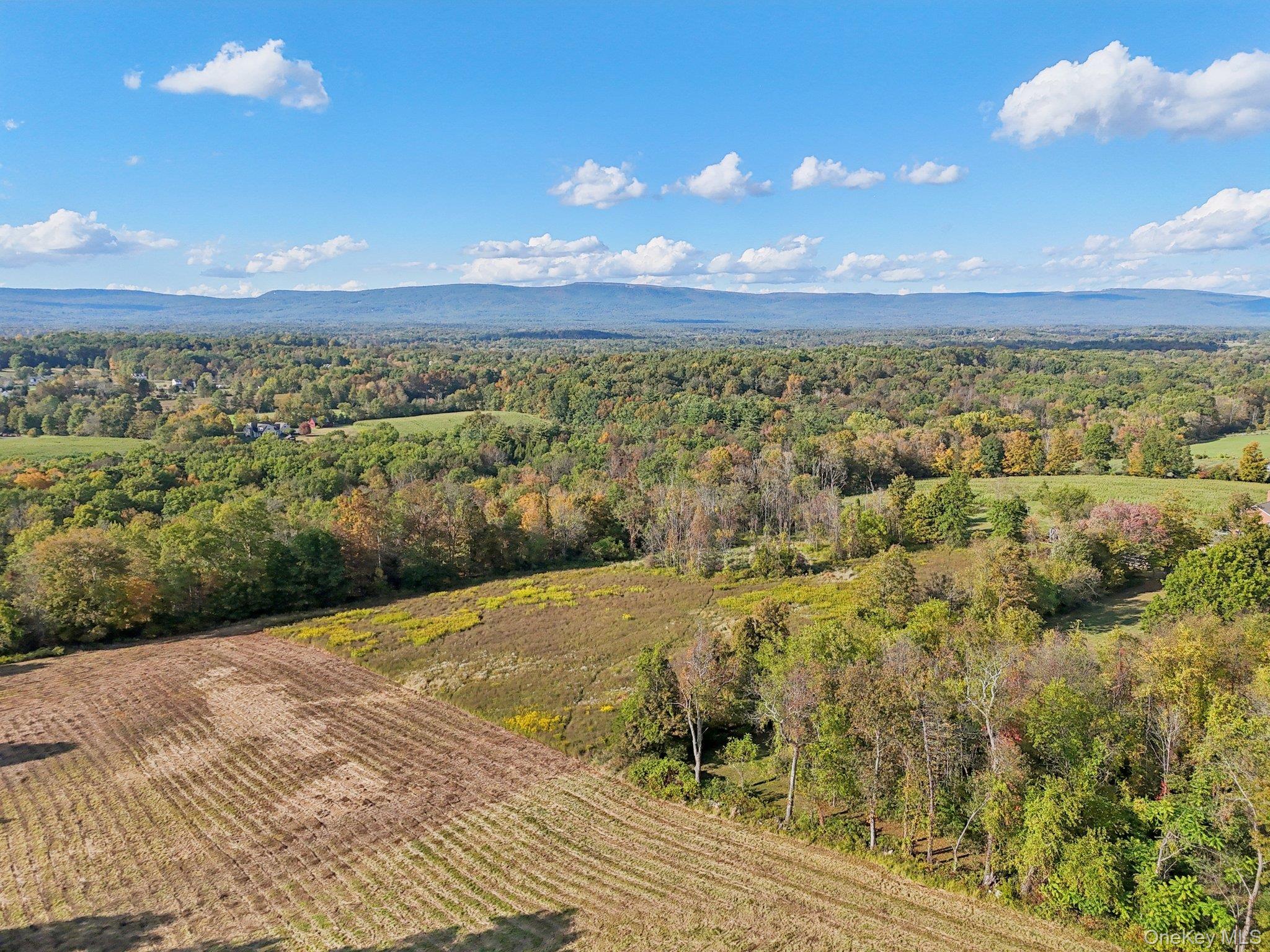 728 State Route 302 Property Photo 12