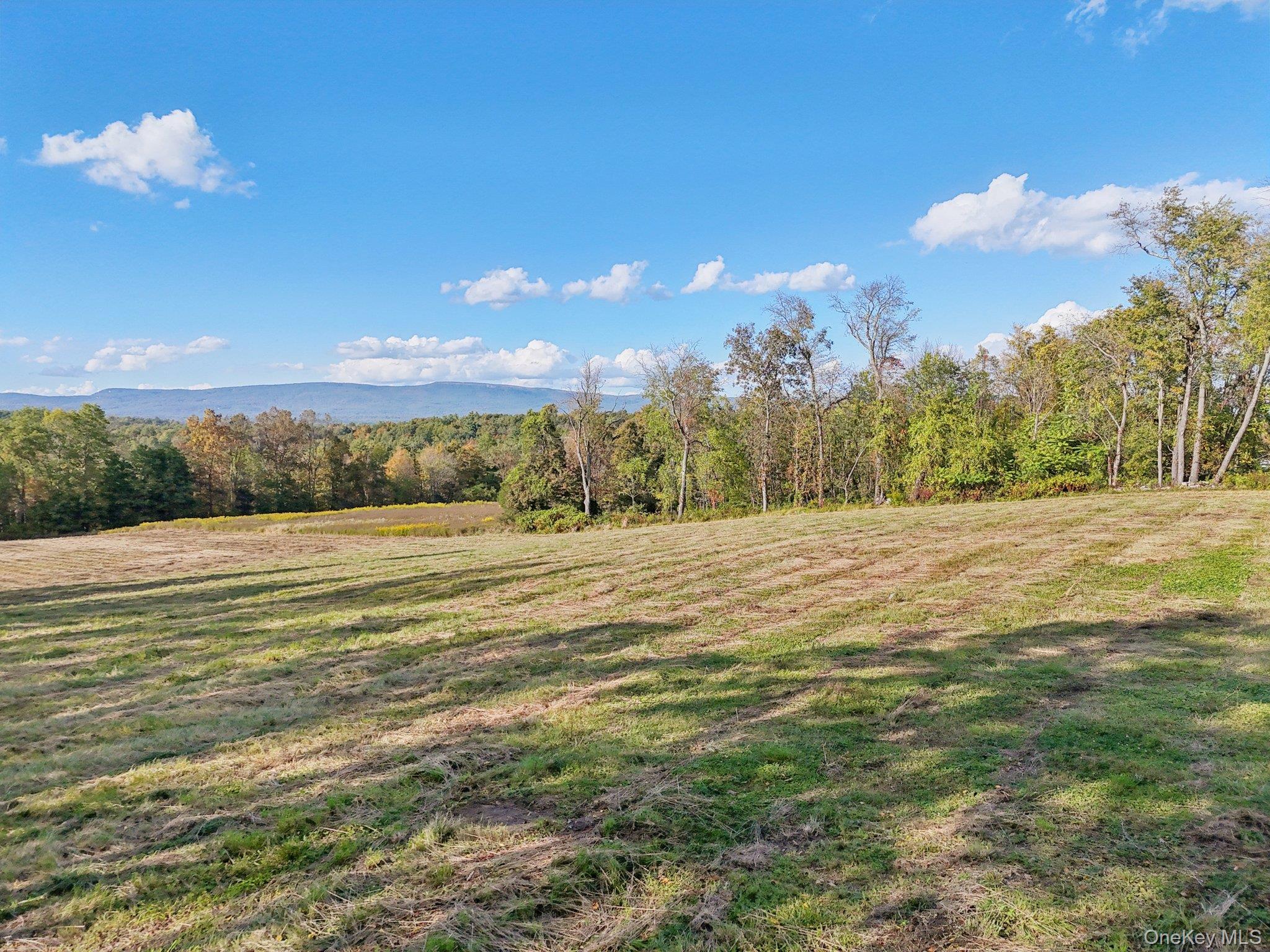 728 State Route 302 Property Photo 13