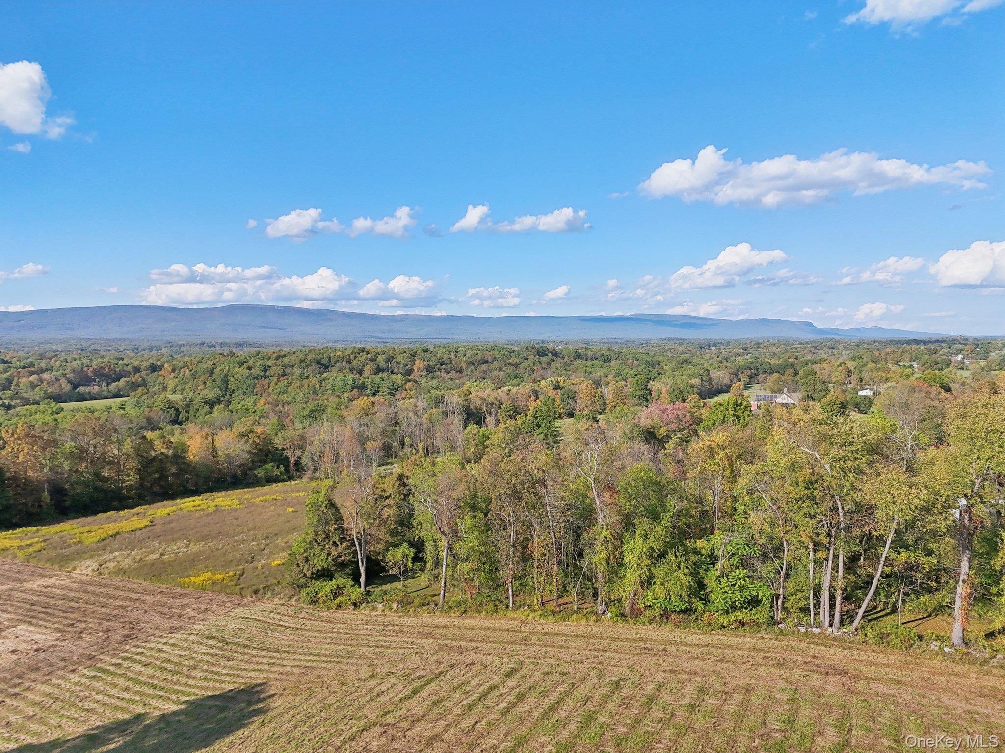 728 State Route 302 Property Photo 14