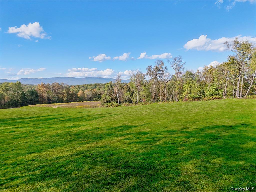 728 State Route 302 Property Photo 17