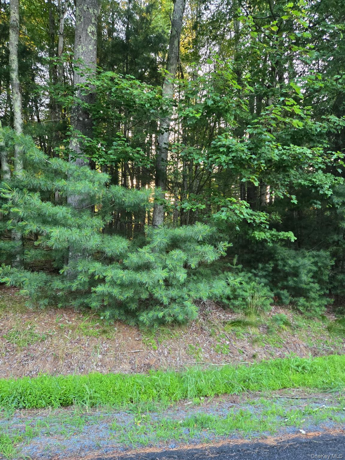 Horseshoe Lake Road Property Photo 1
