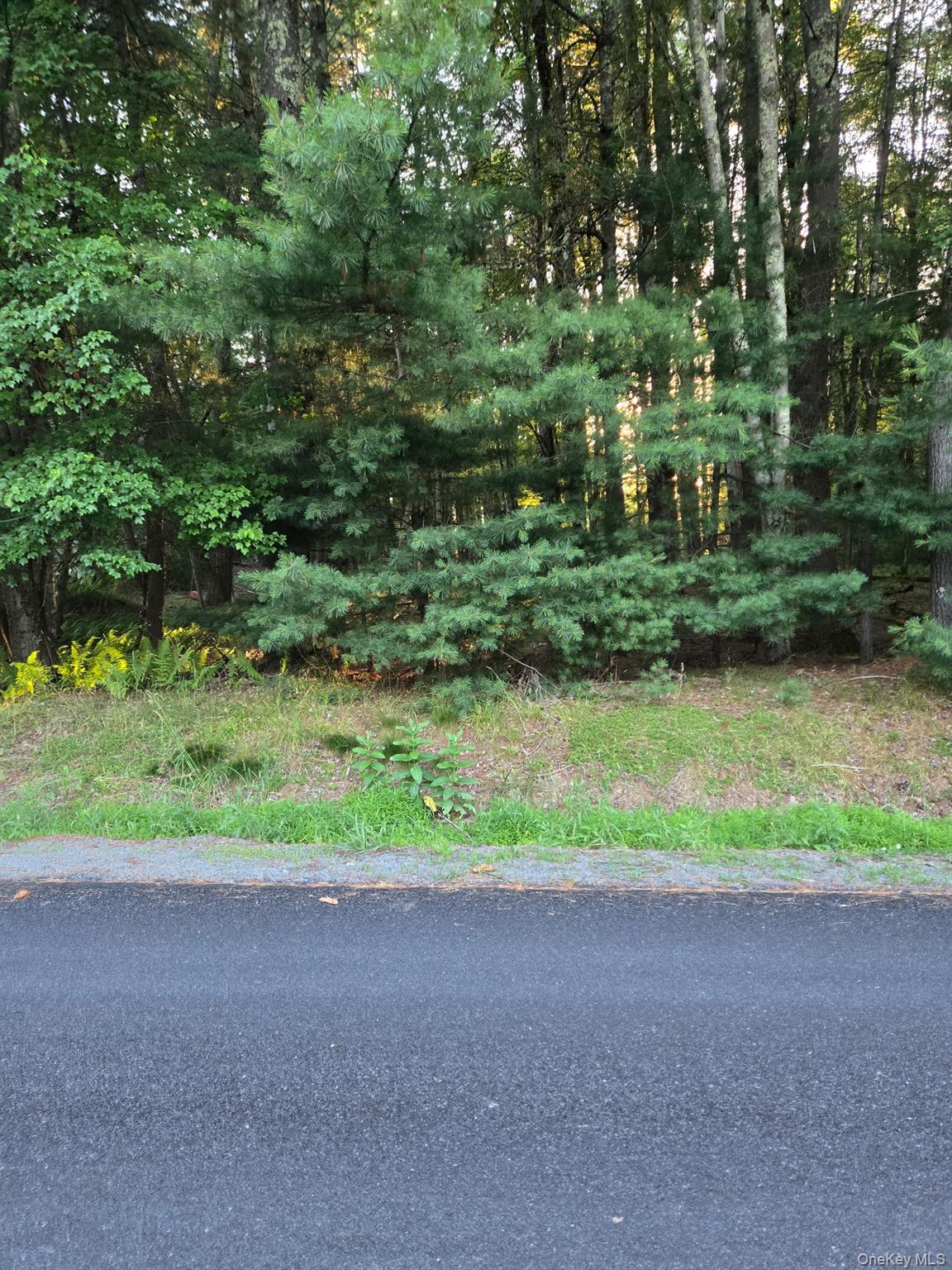 Horseshoe Lake Road Property Photo 3