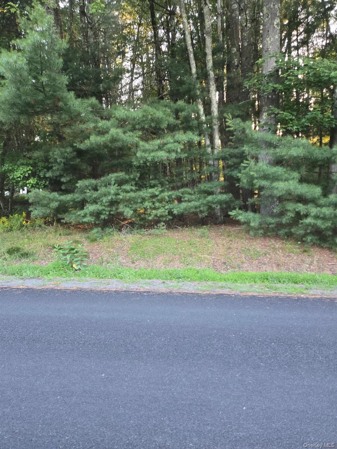 Horseshoe Lake Road Property Photo 4