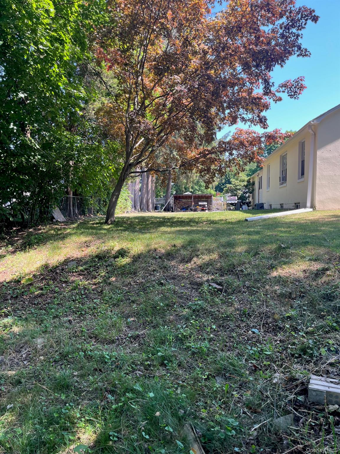 1067 Codwise Street Property Photo 29