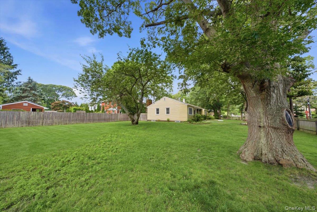 10 Graham Road Property Photo 5