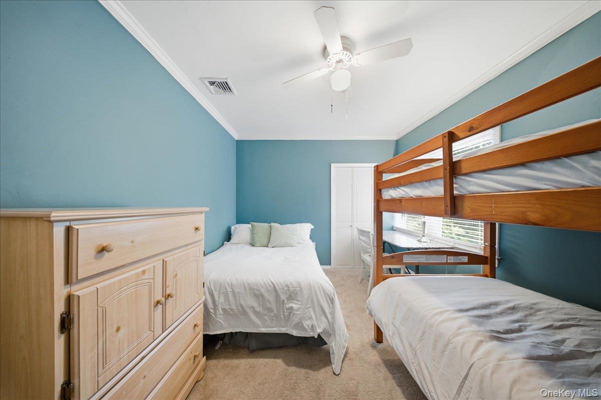 10 Graham Road Property Photo 13
