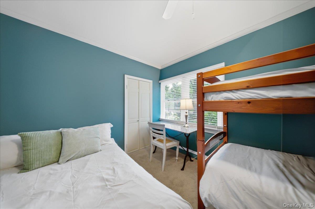 10 Graham Road Property Photo 14