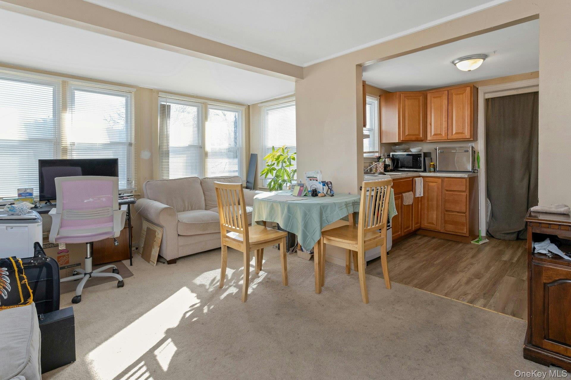 34 Ashburton Property Photo 22