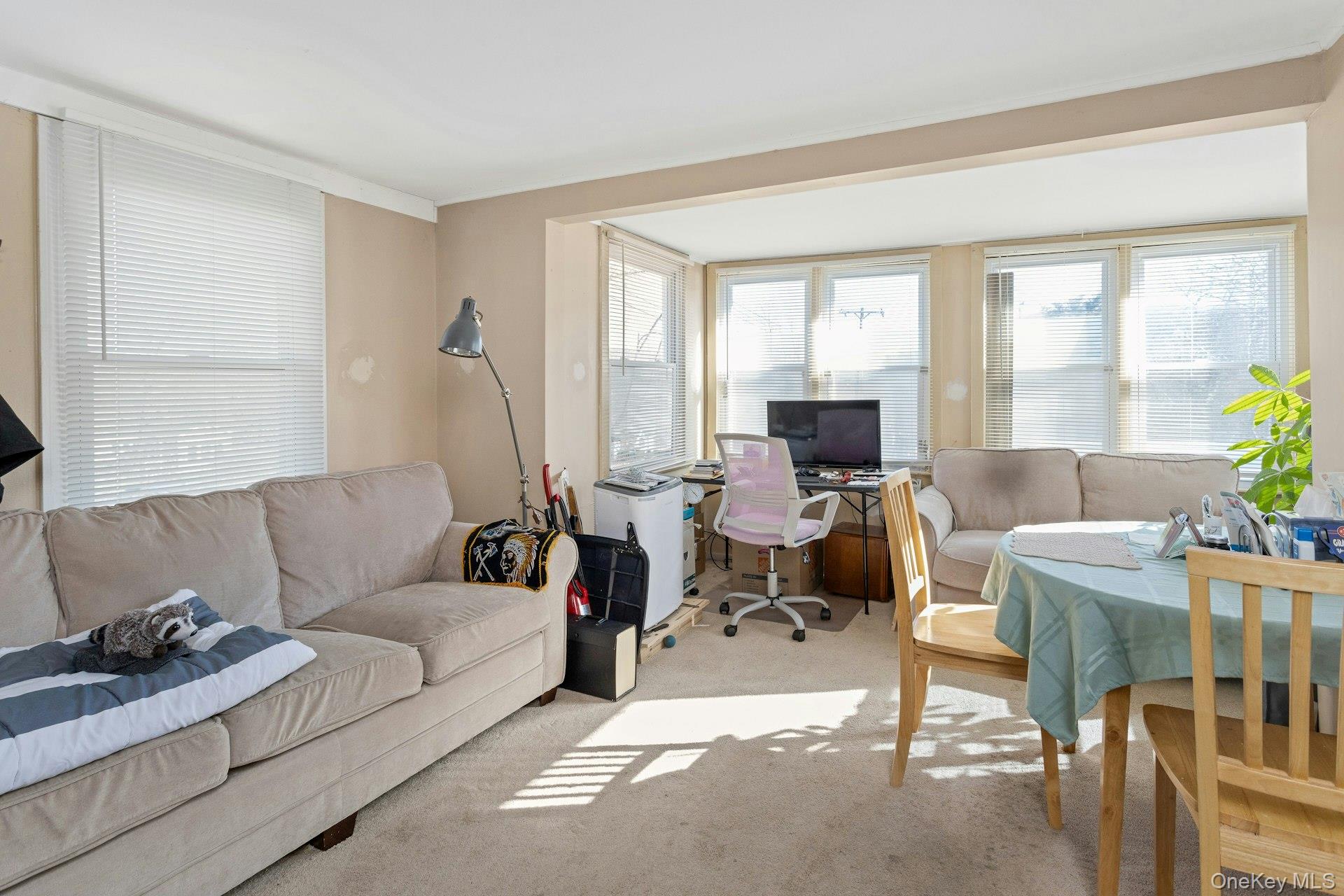 34 Ashburton Property Photo 23