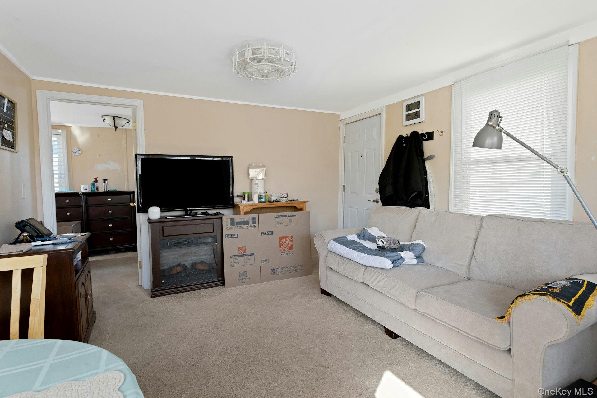 34 Ashburton Property Photo 24