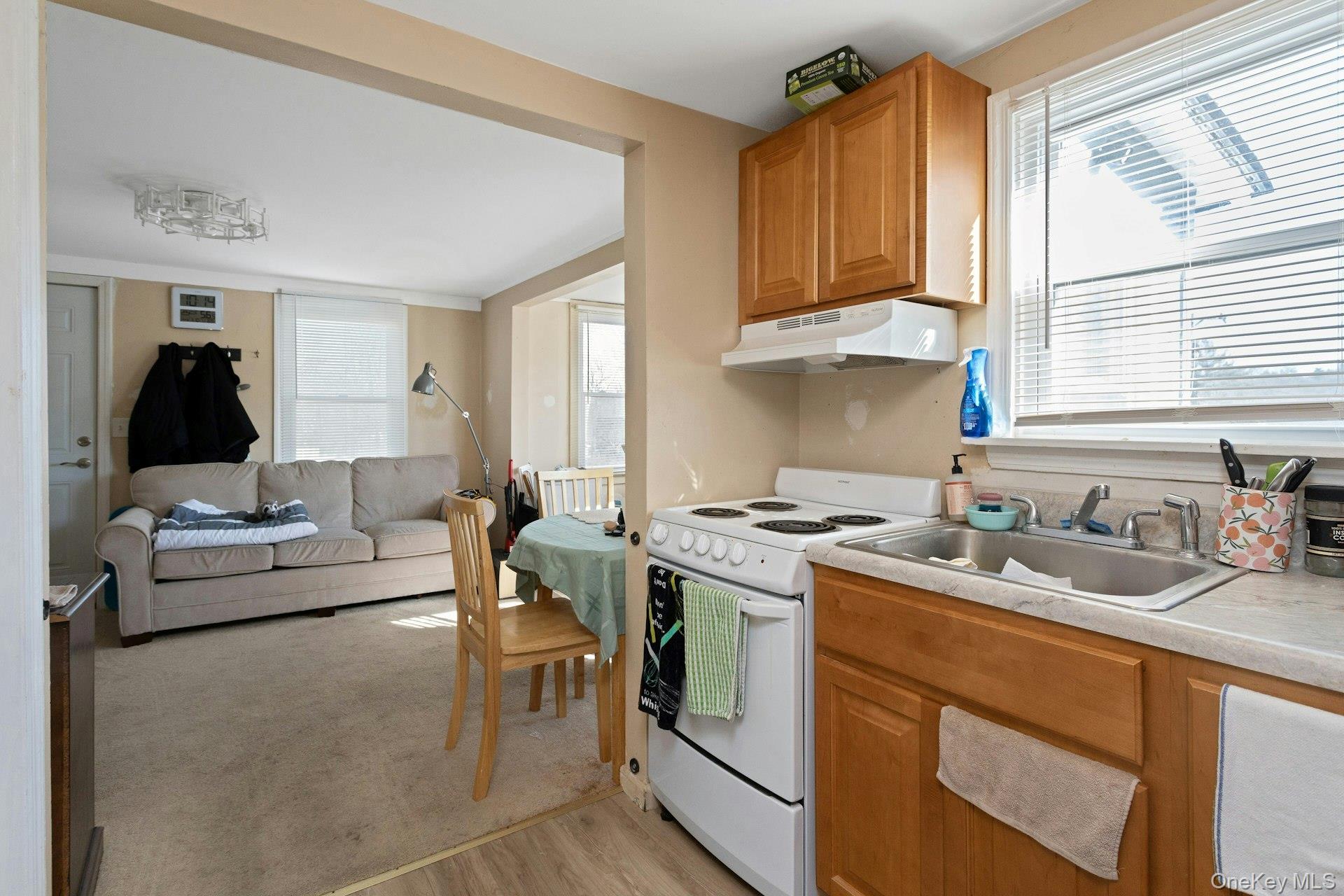 34 Ashburton Property Photo 26
