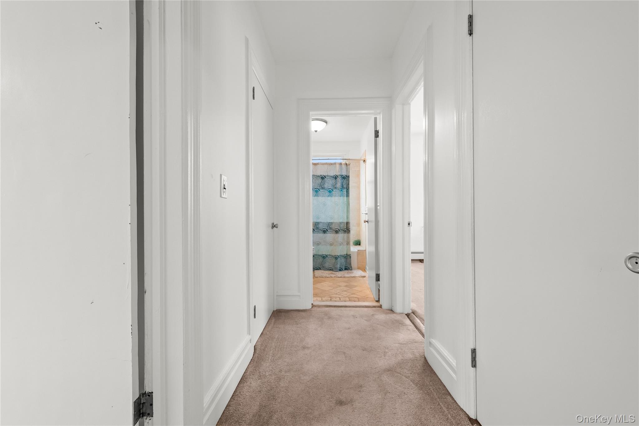 46 Meadow Lane Property Photo 23