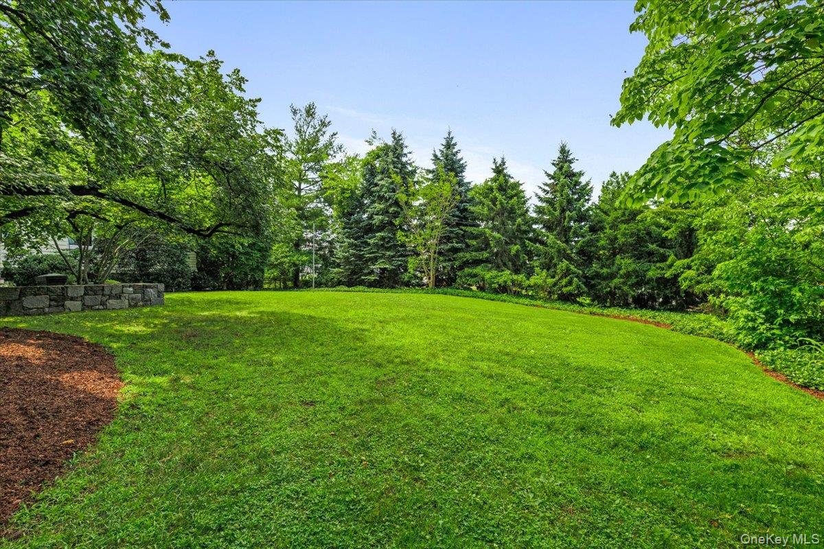731 Forest Avenue Property Photo 4