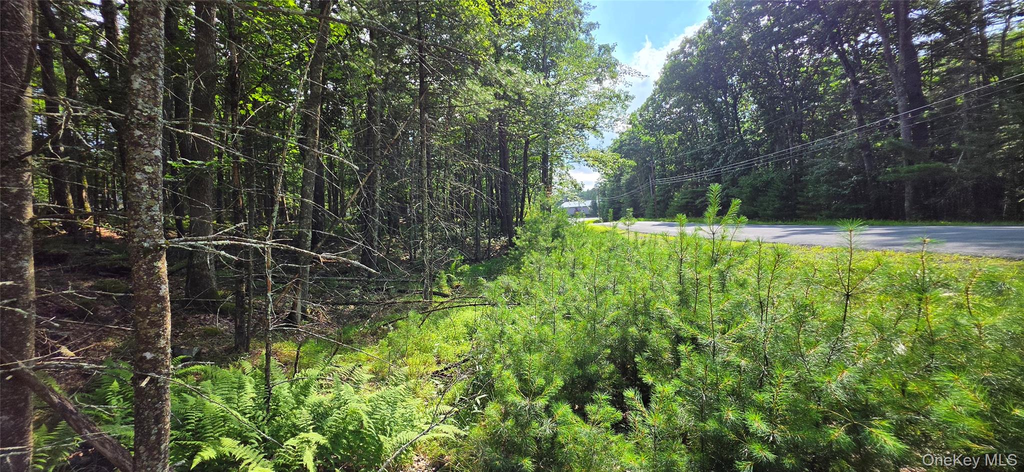 Lot 34.25 Lakeview Drive Road Property Photo 21