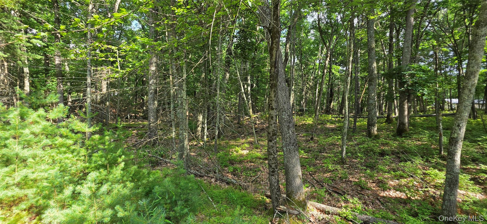 Lot 34.25 Lakeview Drive Road Property Photo 22