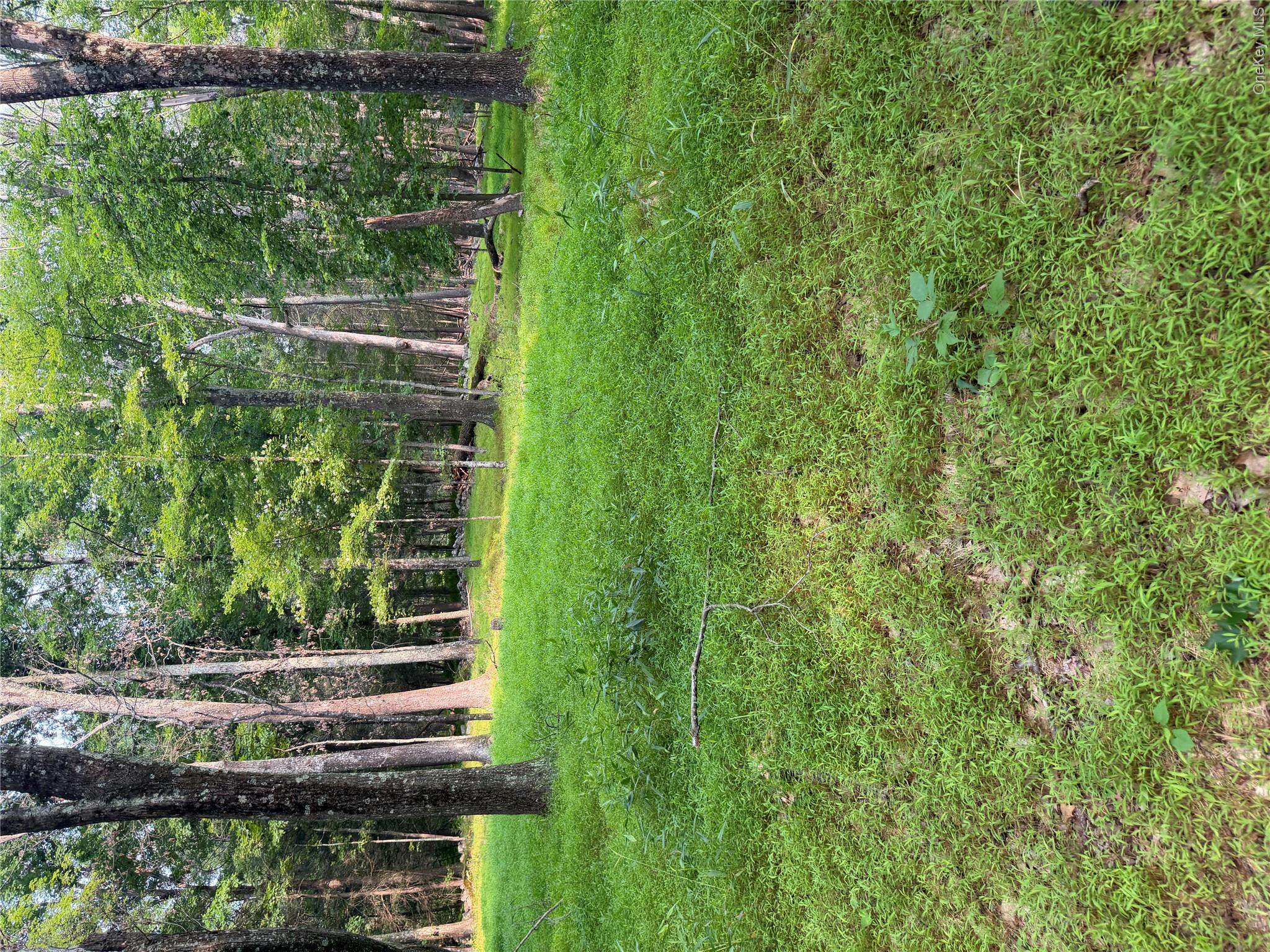 148 Quannacut Road Property Photo 8