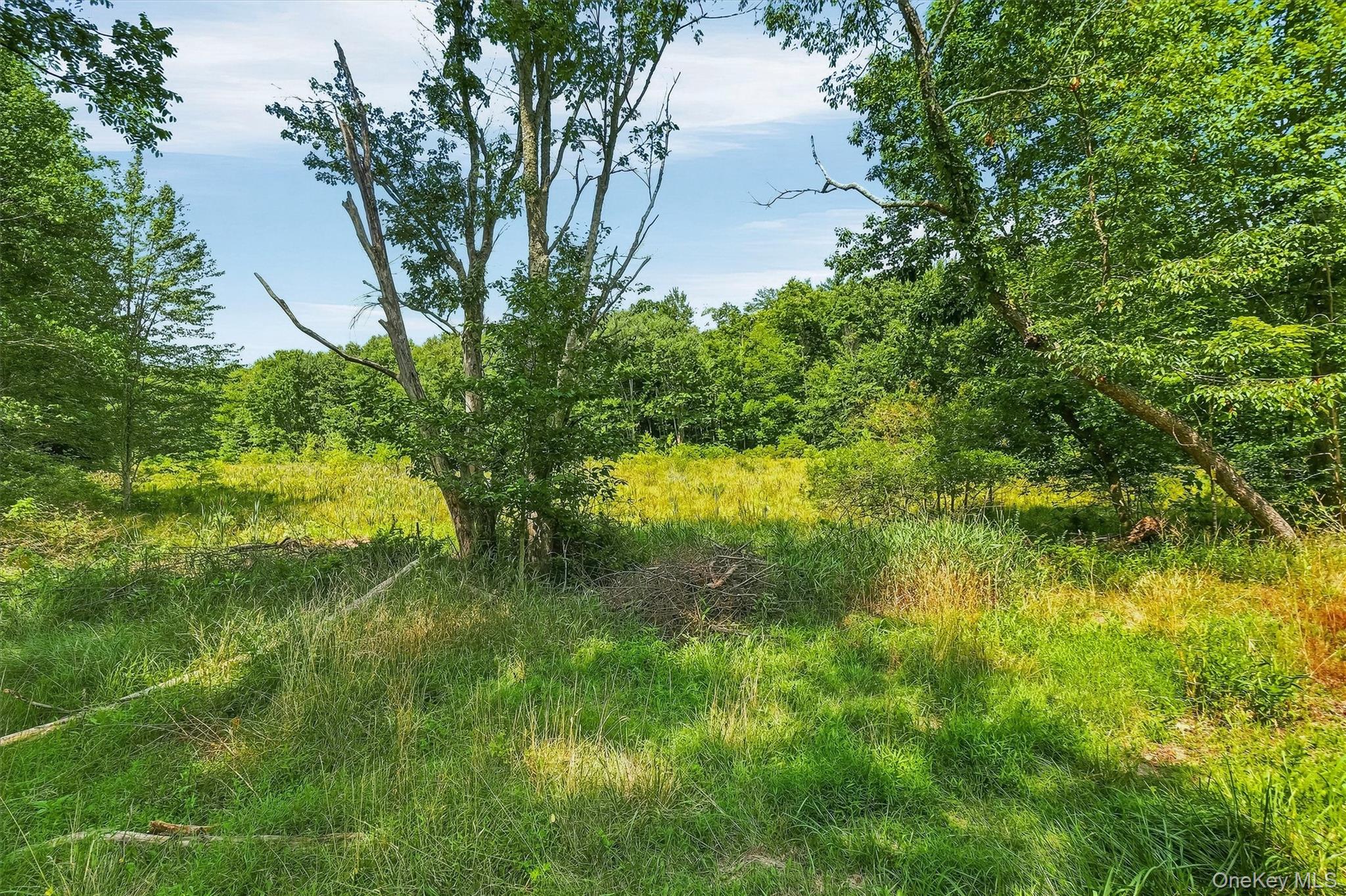 148 Quannacut Road Property Photo 23