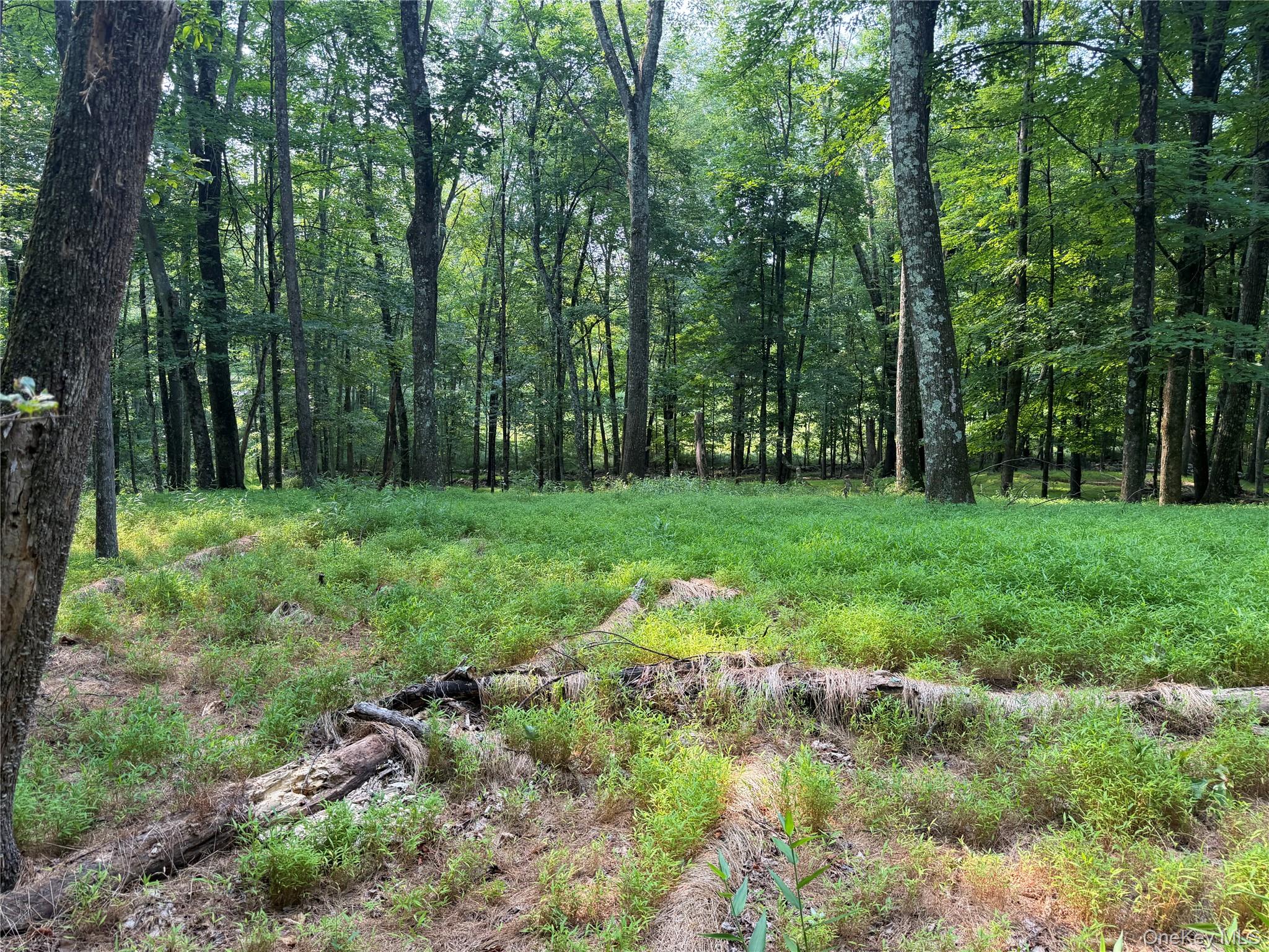 148 Quannacut Road Property Photo 34