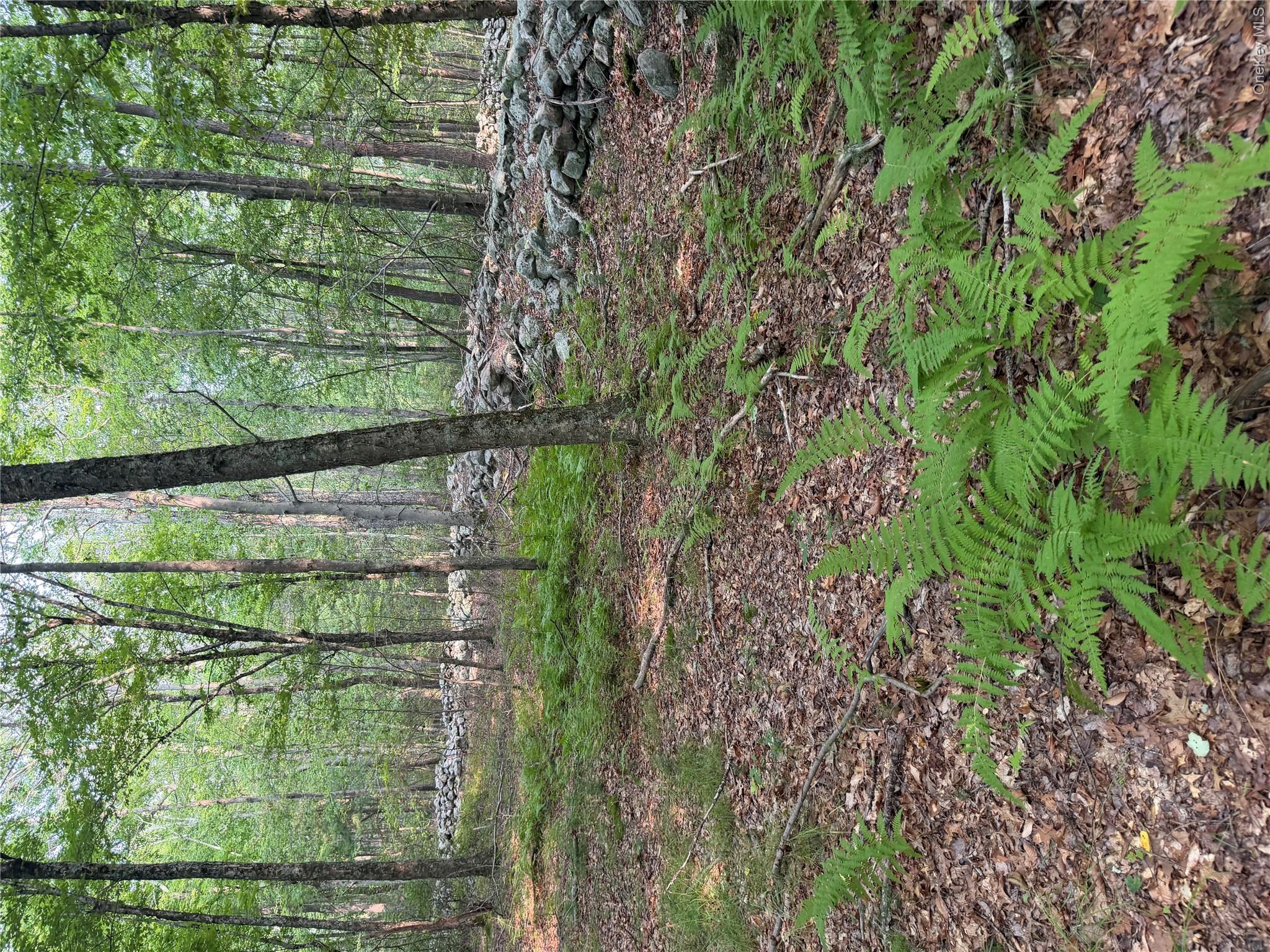 148 Quannacut Road Property Photo 42