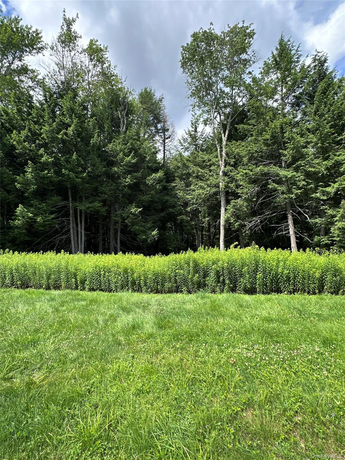 384 Lenape Lake Road Property Photo 2