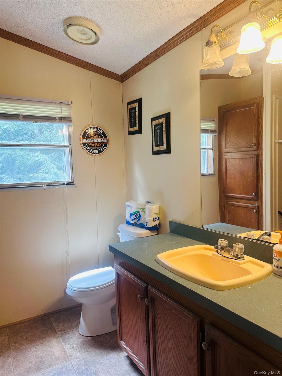 384 Lenape Lake Road Property Photo 9