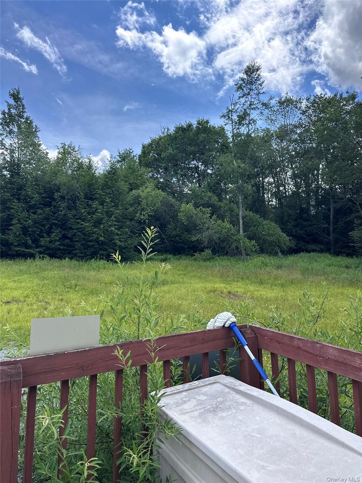 384 Lenape Lake Road Property Photo 16