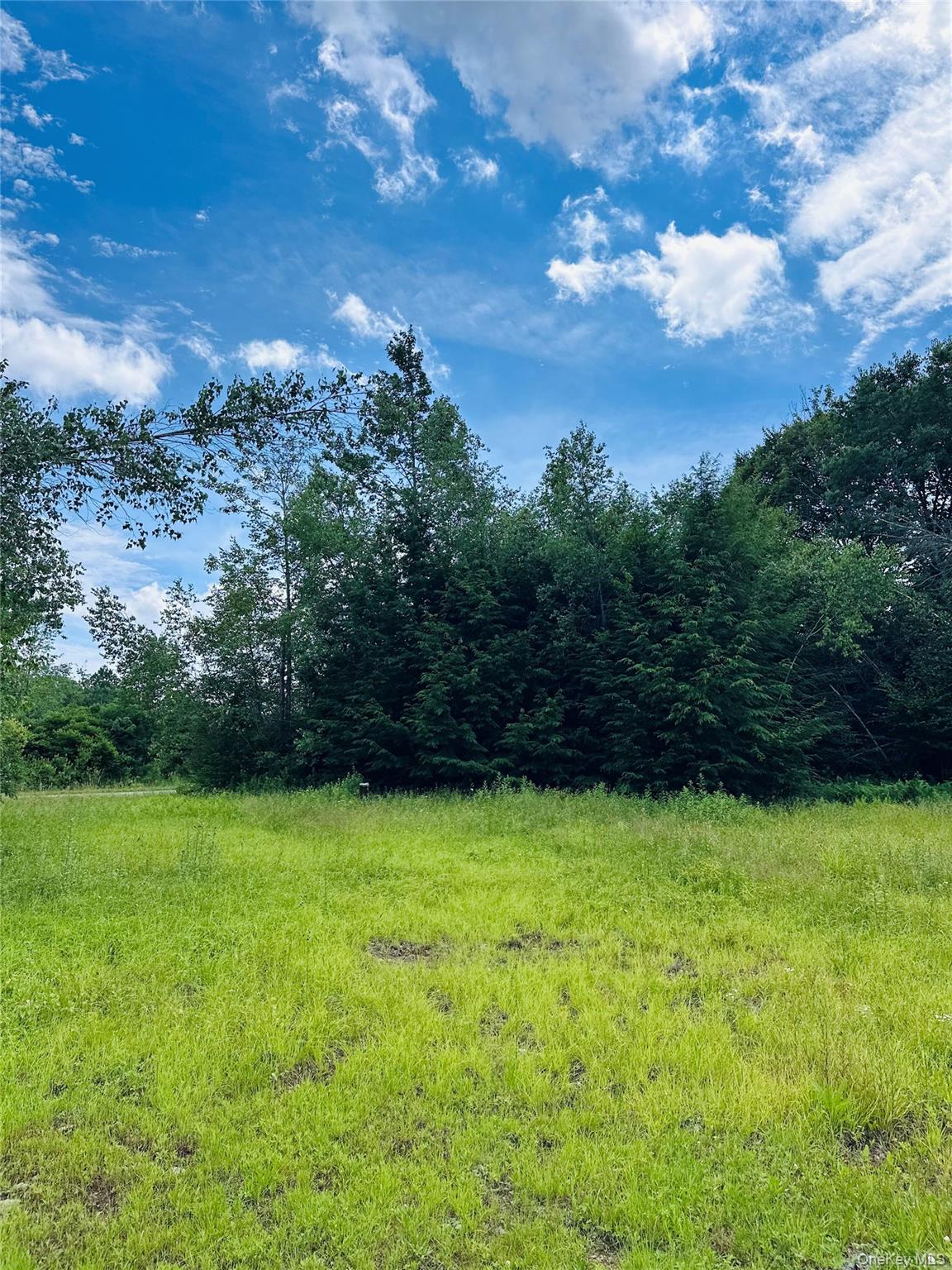 384 Lenape Lake Road Property Photo 17