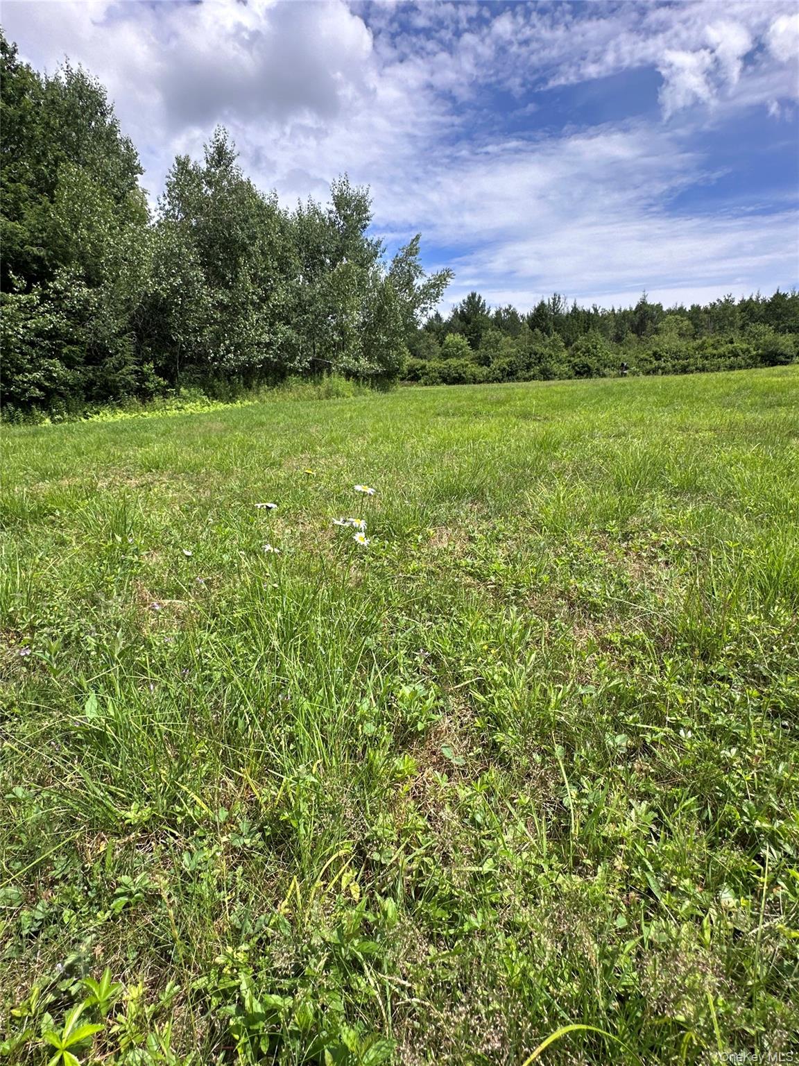 384 Lenape Lake Road Property Photo 20