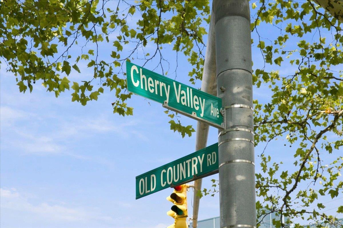 266 Cherry Valley Avenue B1 Property Photo 4