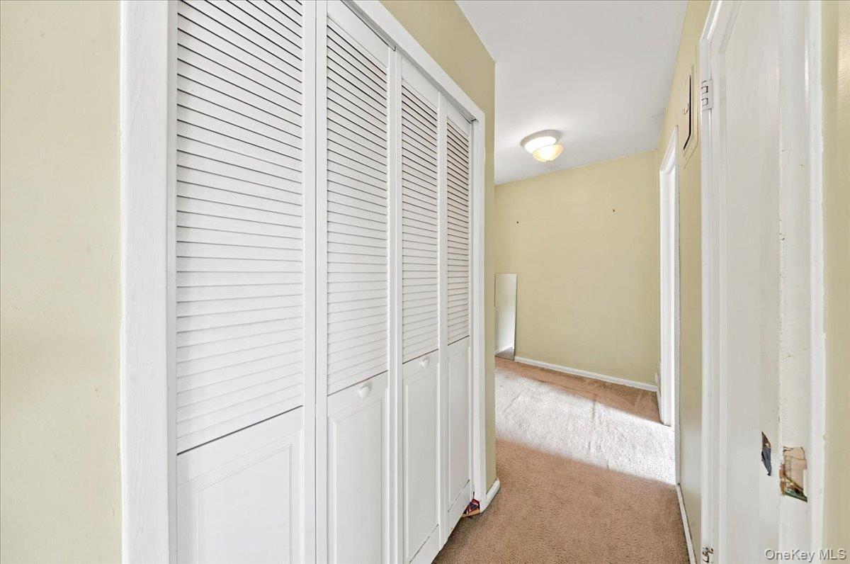 266 Cherry Valley Avenue B1 Property Photo 9
