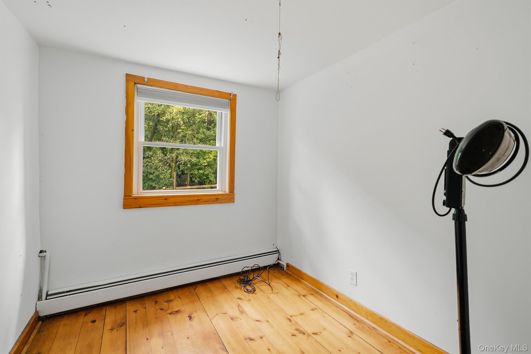 241 Meadow Avenue Property Photo 19