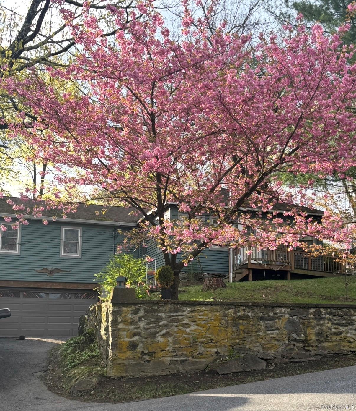 29 White Street Property Photo 1