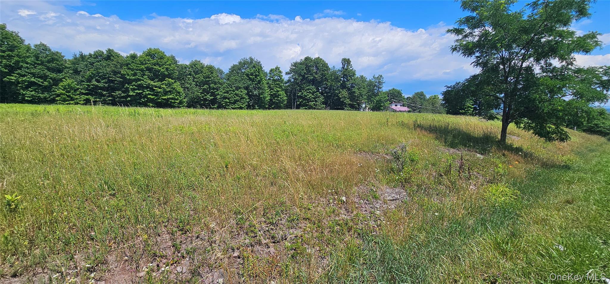 W/s Divine Corners Road Property Photo 1