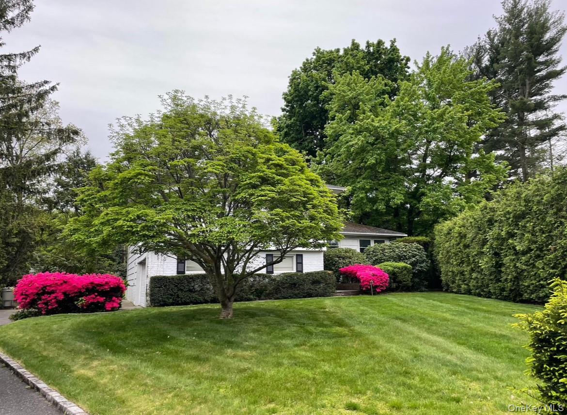 6 Preston Court Property Photo 1