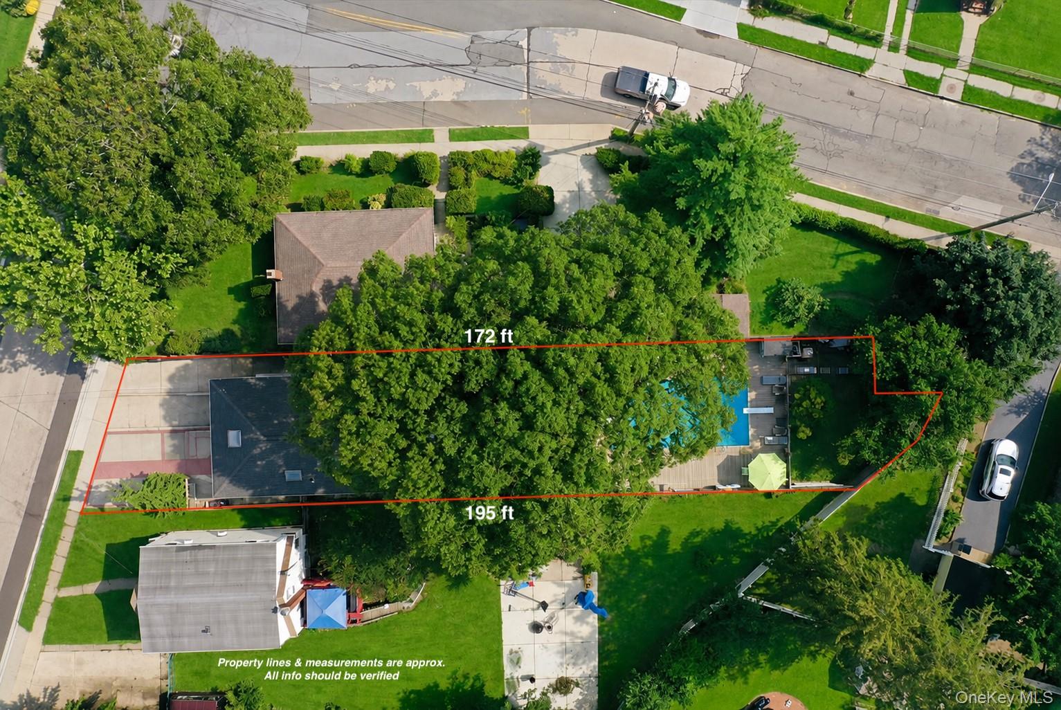 167 Lyon Street Property Photo 4