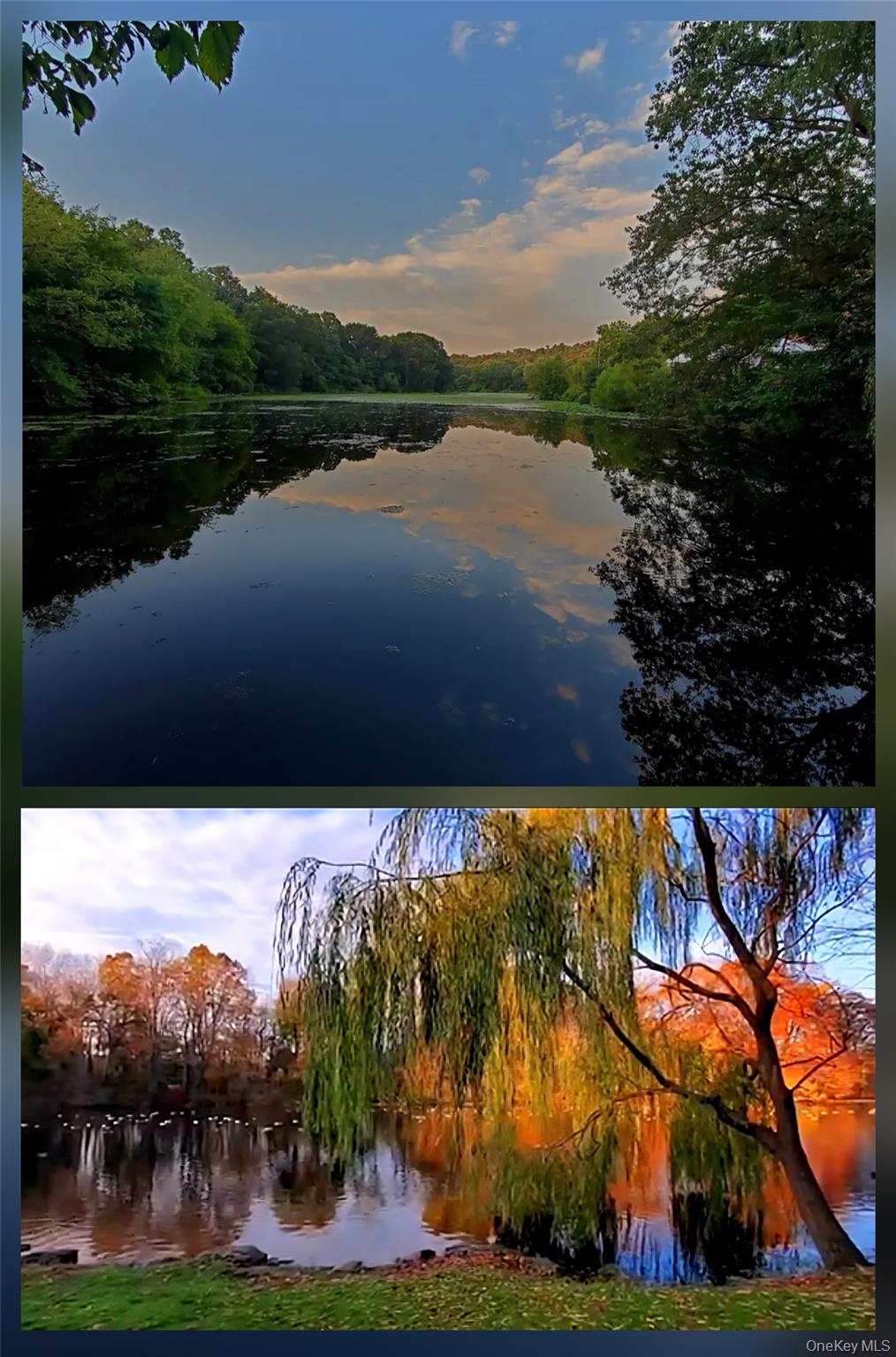 180 Van Cortlandt Park 5c Property Photo 16